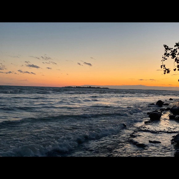 Meet your Posher, Dylan - Picture 1 of 1